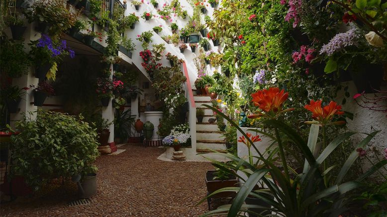 Córdoba, die Stadt der Patios