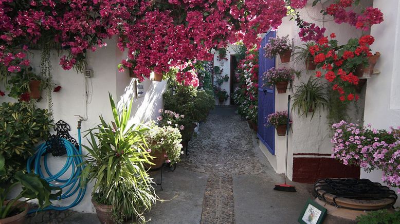 Córdoba, die Stadt der Patios