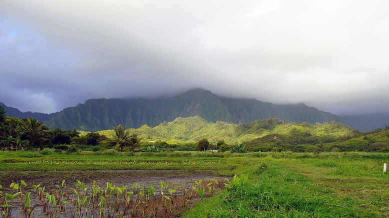 Hawai'i