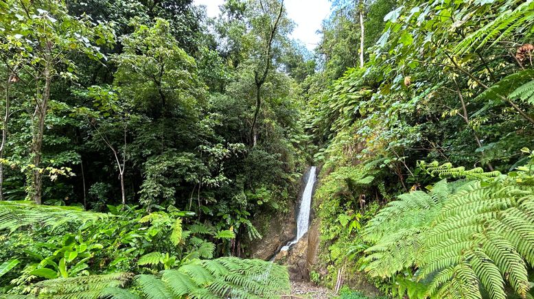 Das Paradies in der Ferne