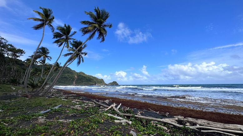 Das Paradies in der Ferne