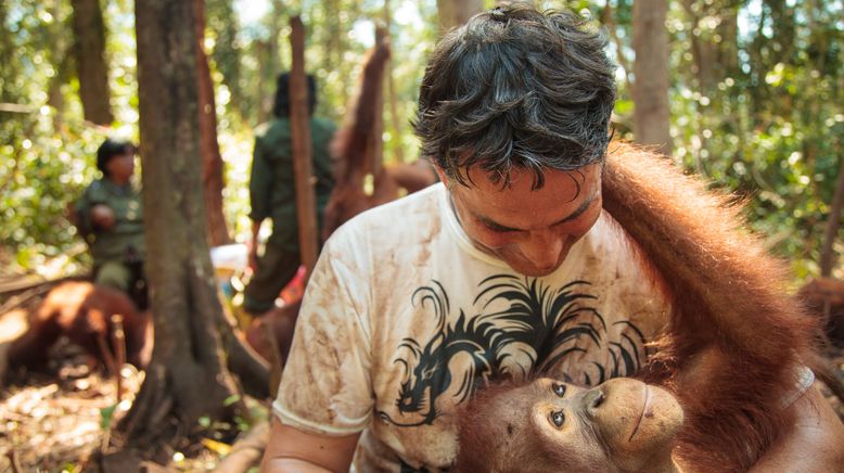 Orang-Utan Dschungelschule