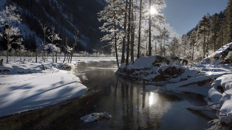 Lungau - Wildnis im Herzen der Tauern