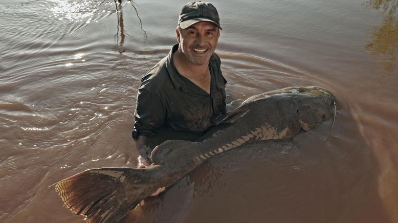 Giganten unter Wasser - Riesenfischen auf der Spur