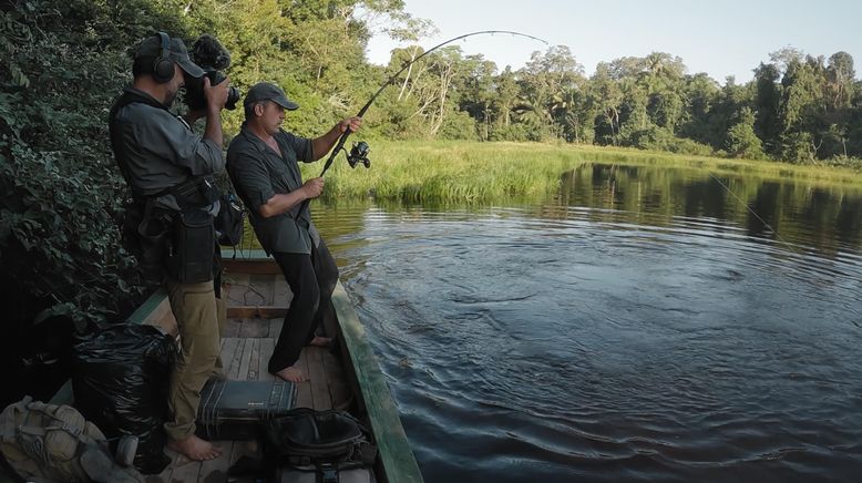 Giganten unter Wasser - Riesenfischen auf der Spur