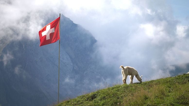 Das Berner Oberland