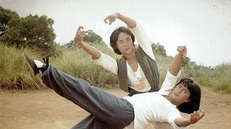 Die Welt des Drunken Master