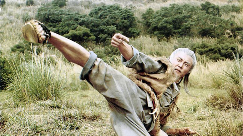 Die Welt des Drunken Master