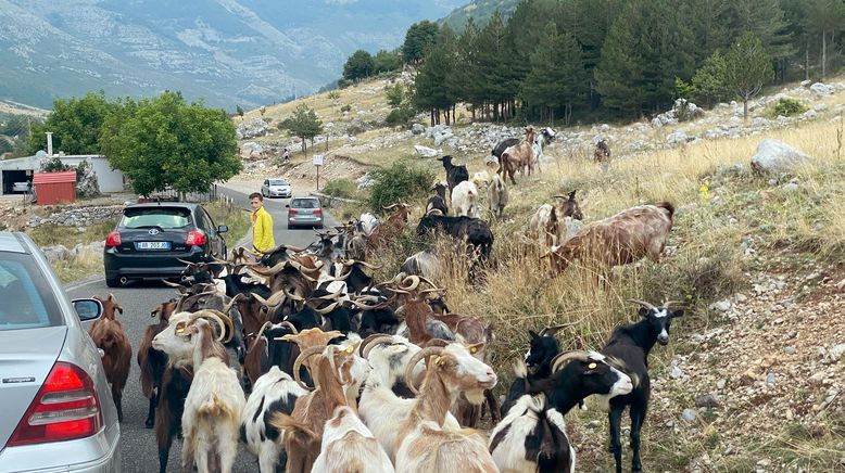 Die Albanischen Alpen - In den verwunschenen Bergen