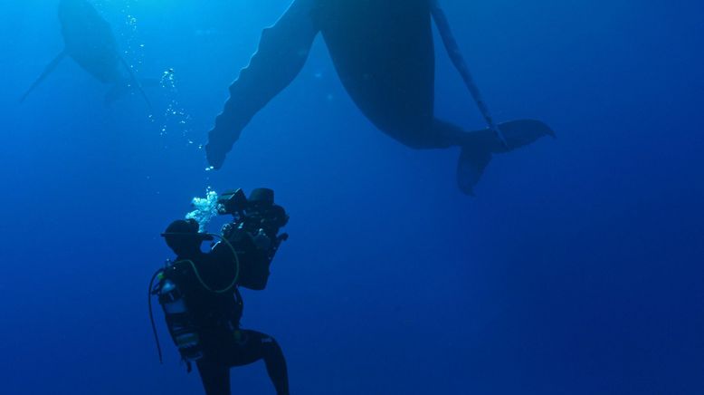 OceanXplorers - Geheimnisse der Ozeane