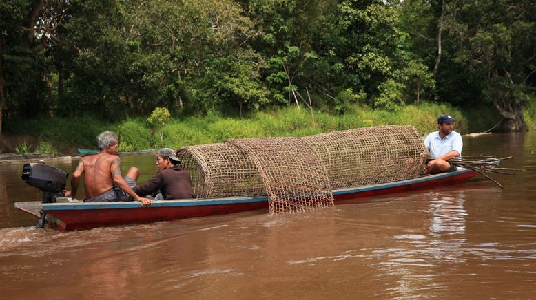 Auf der Suche nach dem Monsterfisch