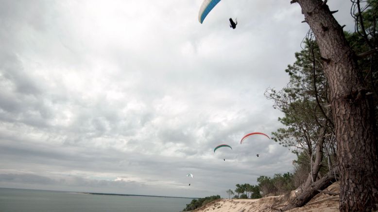 Die wundersame Welt der Gironde