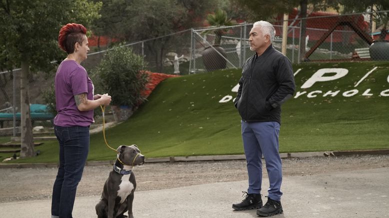 Cesar Millan: Guter Mensch, guter Hund