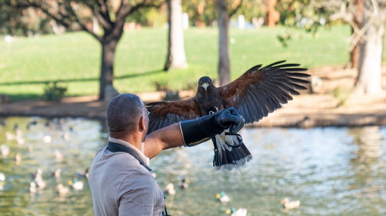 Vogelwild mit Christian Cooper