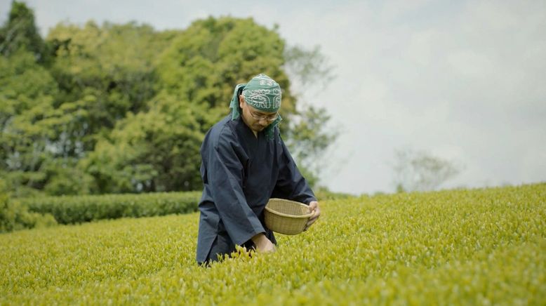 Japan - Der Teemeister