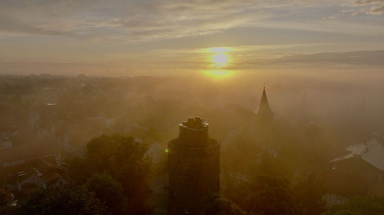 Das Wendland - Was ist aus meiner Heimat geworden?