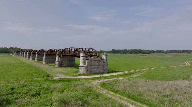 Das Wendland - Was ist aus meiner Heimat geworden?