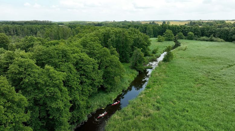 Sommer an der Warnow