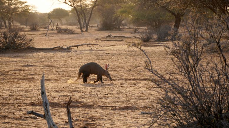 Abenteuer Namibia