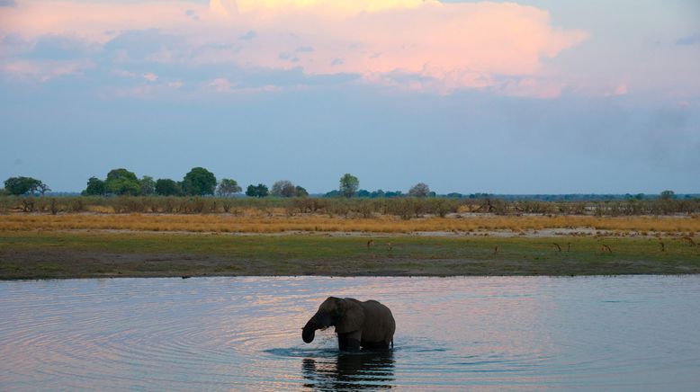 Abenteuer Namibia