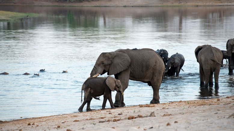 Abenteuer Namibia