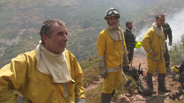 Geliebtes Korsika: Kampf gegen das Feuer