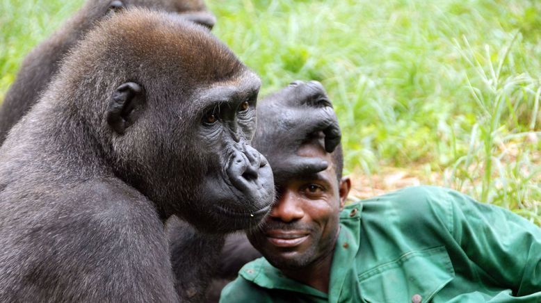 Bama, der Gorillamann - Abenteuer in Kamerun