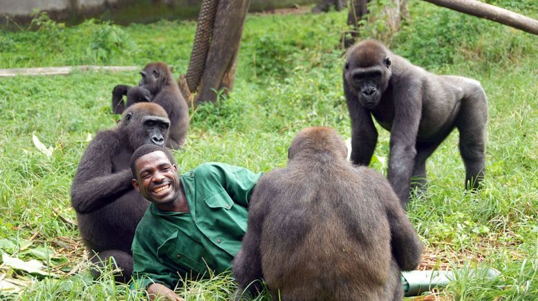 Bama, der Gorillamann - Abenteuer in Kamerun