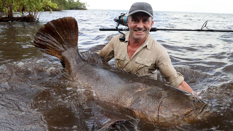 Giganten unter Wasser - Riesenfischen auf der Spur