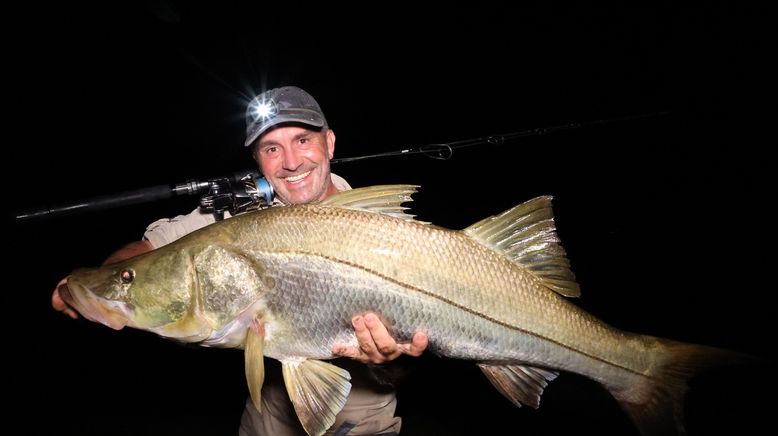 Giganten unter Wasser - Riesenfischen auf der Spur