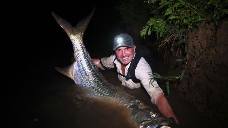 Giganten unter Wasser - Riesenfischen auf der Spur