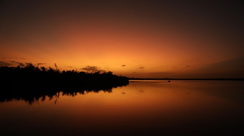 Giganten unter Wasser - Riesenfischen auf der Spur