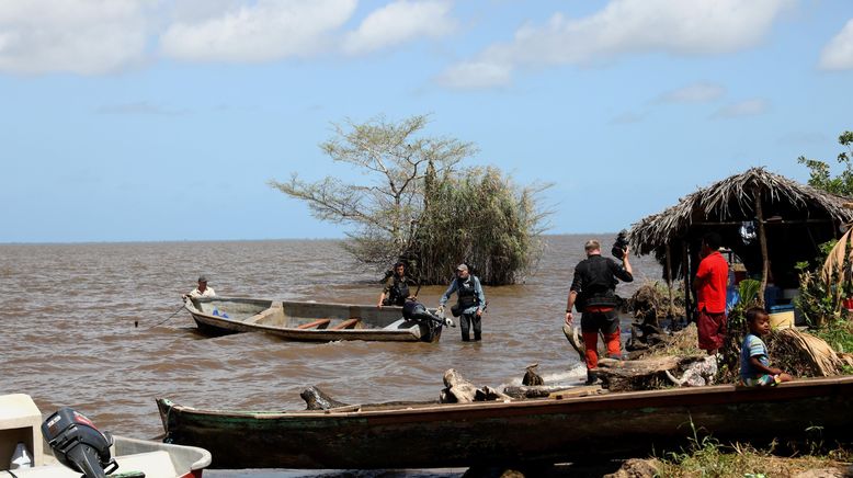 Giganten unter Wasser - Riesenfischen auf der Spur