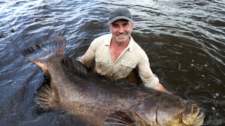 Giganten unter Wasser - Riesenfischen auf der Spur