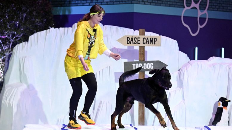 Top Dog Germany - Der beste Hund Deutschlands