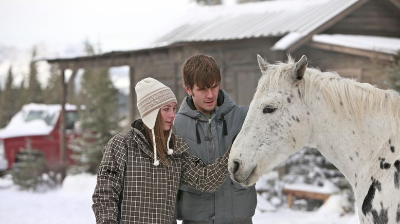 Heartland - Paradies für Pferde