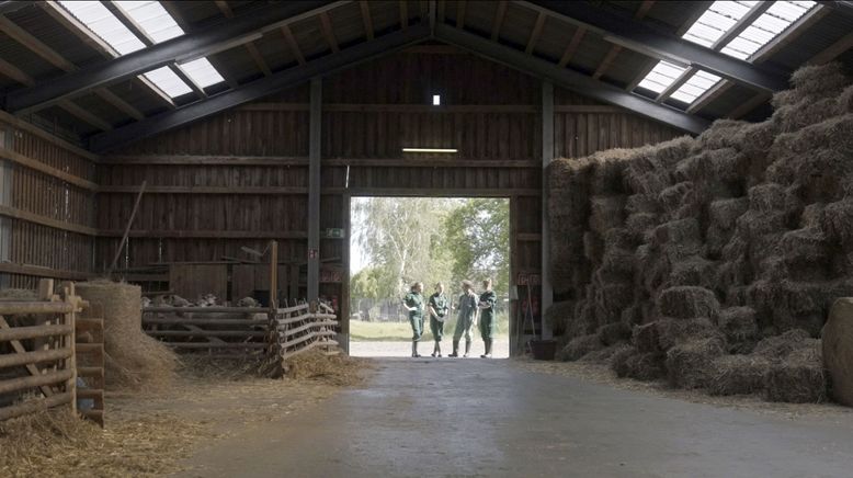 Tiermedizin in Leipzig - Traumberuf und Knochenjob