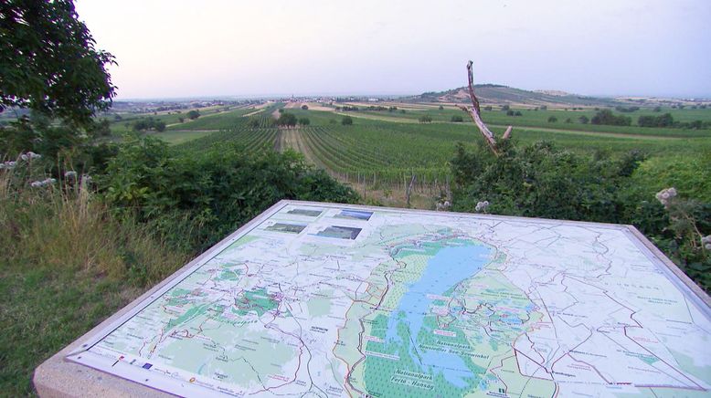 Nationalpark Neusiedler See-Seewinkel - Ein Naturjuwel im Wandel