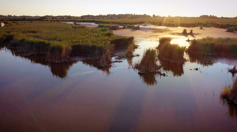 Nationalpark Neusiedler See-Seewinkel - Ein Naturjuwel im Wandel