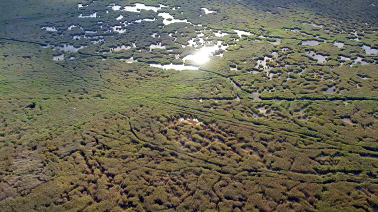 Nationalpark Neusiedler See-Seewinkel - Ein Naturjuwel im Wandel