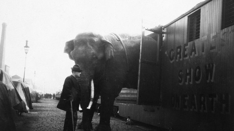 Fritz, der Elefant - Eine tragische Geschichte