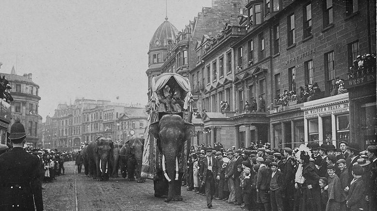 Fritz, der Elefant - Eine tragische Geschichte