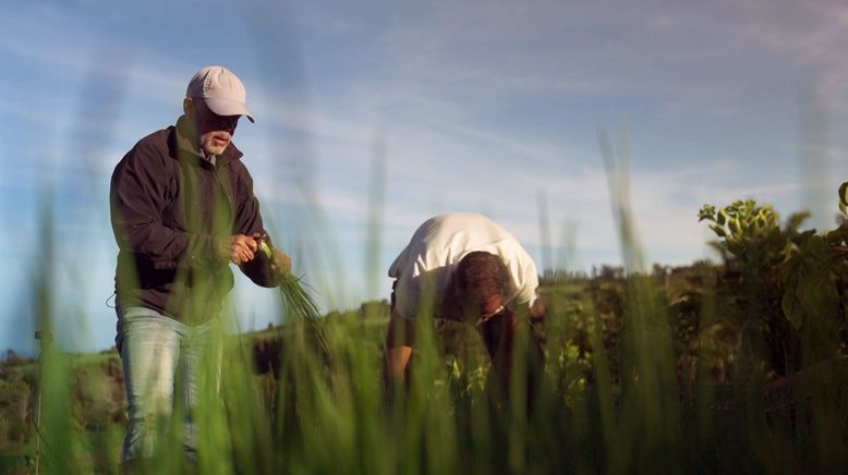 La Réunion: Die Wiederbelebung der kreolischen Gärten