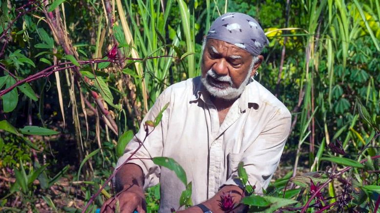 La Réunion: Die Wiederbelebung der kreolischen Gärten