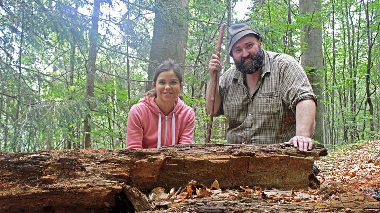 Anna und der wilde Wald