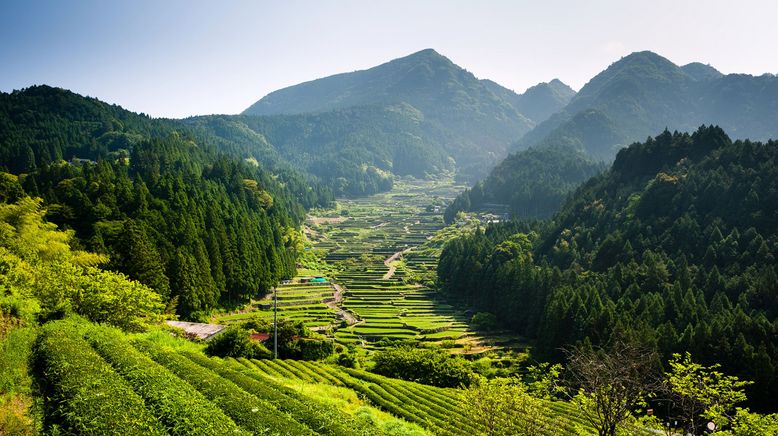 Wildes Japan - Land der tausend Inseln