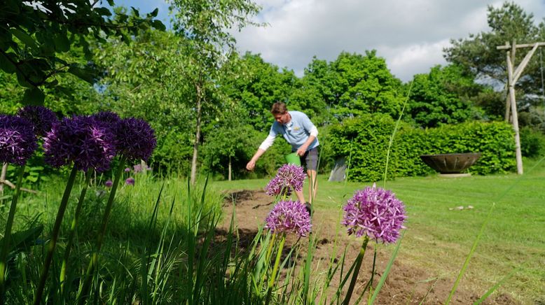 Rasch durch den Garten