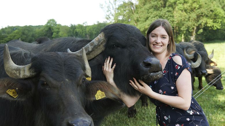 Land und lecker