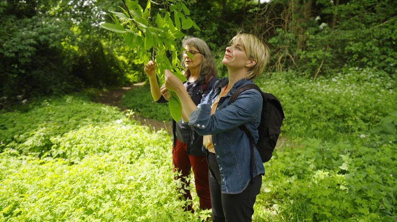 Sabine Heinrich umrundet NRW