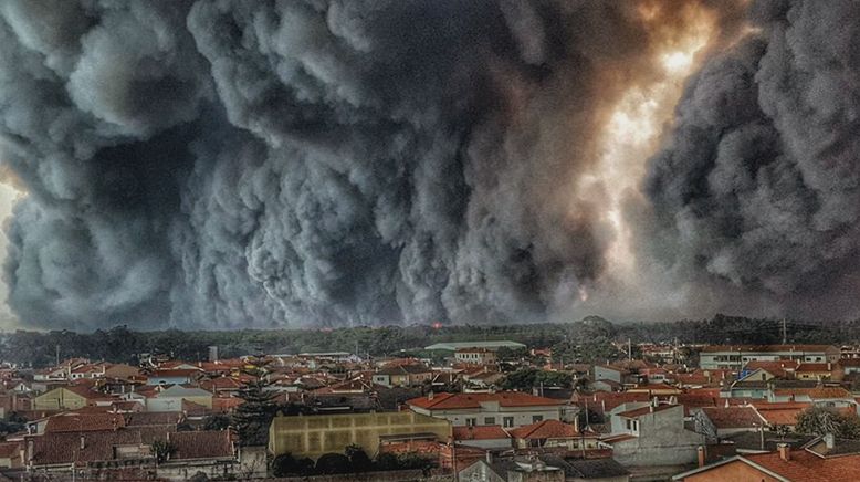 Vom Feuer bedroht - Waldbrand in Portugal